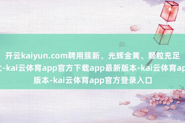 开云kaiyun.com聘用簇新、光辉金黄、颗粒充足的小米至关强大-kai云体育app官方下载app最新版本-kai云体育app官方登录入口