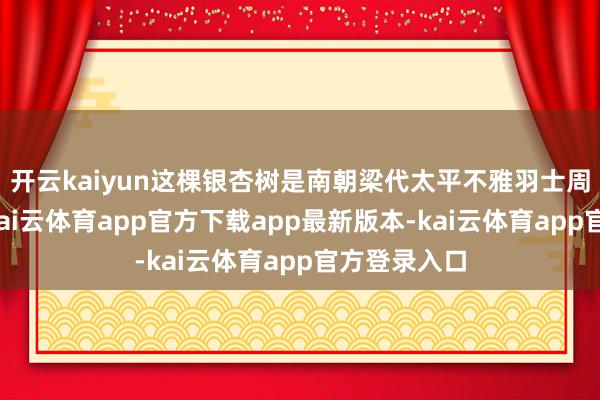 开云kaiyun这棵银杏树是南朝梁代太平不雅羽士周月潭手植-kai云体育app官方下载app最新版本-kai云体育app官方登录入口